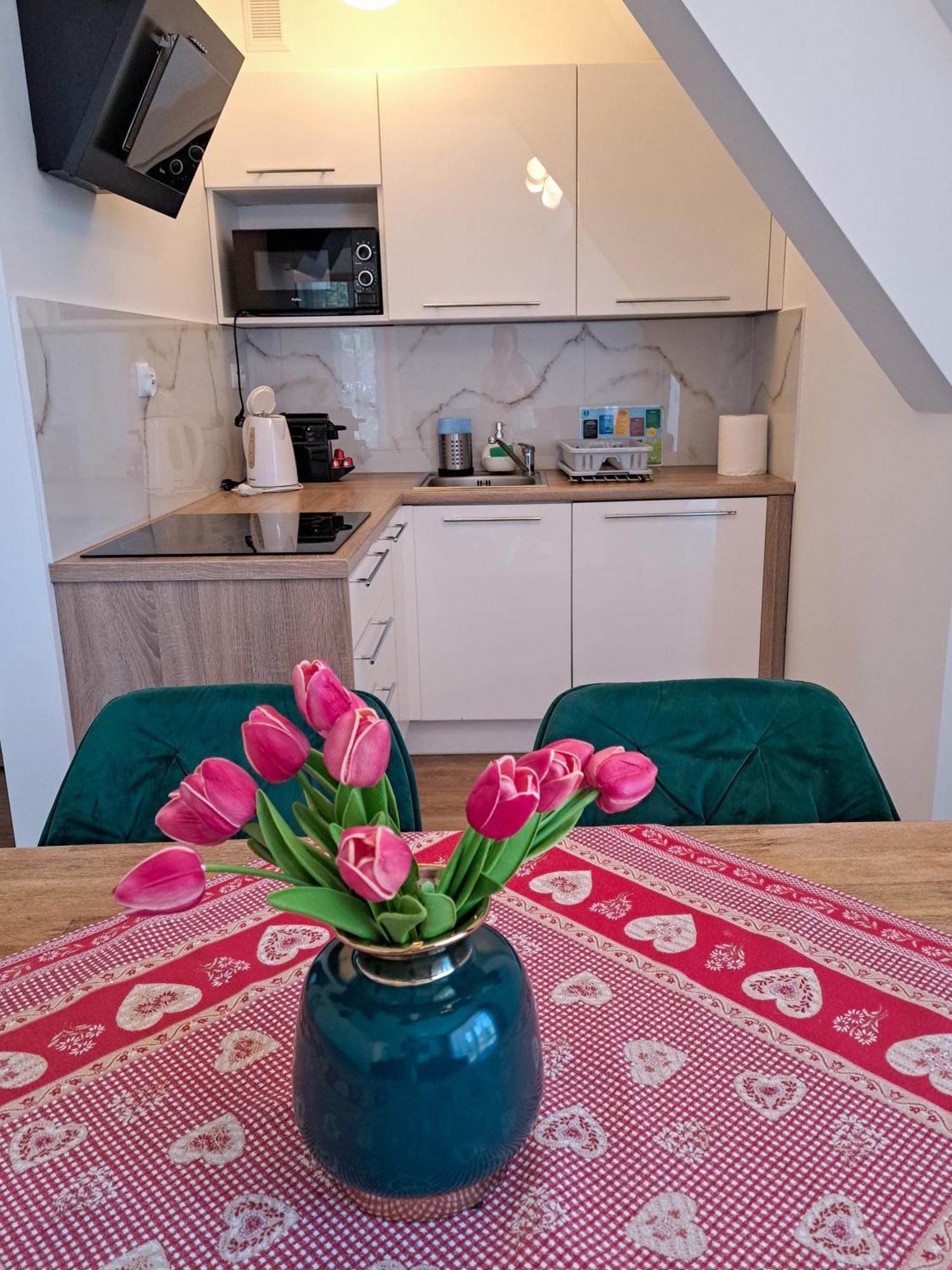 Bory6A Apartamenty & Free Parking Zakopane Extérieur photo